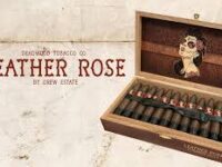 DEADWOOD LEATHER ROSE
