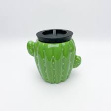 CACTUS STASH JAR